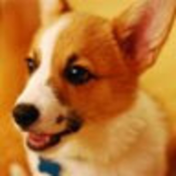 Meet your Posher, Sarah - Picture 1 of 1